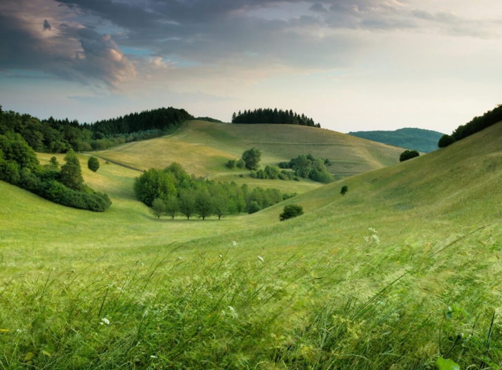 home hero 1024x756.jpg