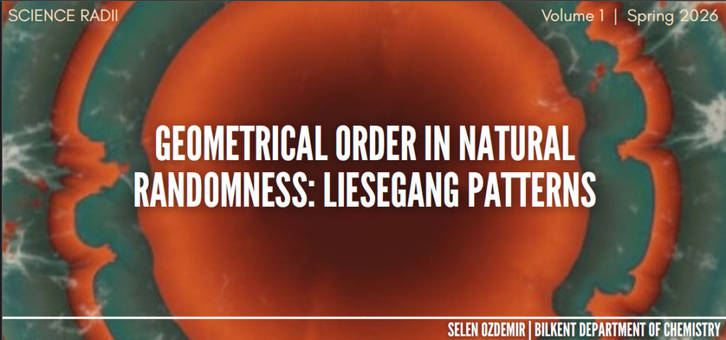 ekran görüntüsü 2026 01 25 143120