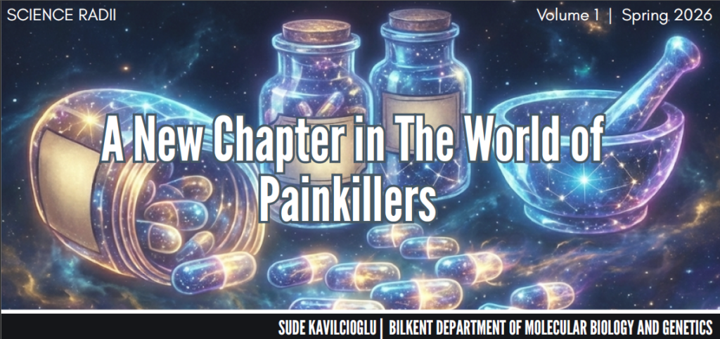 ekran görüntüsü 2026 01 25 143141