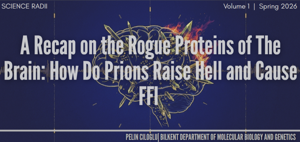 ekran görüntüsü 2026 01 25 143207