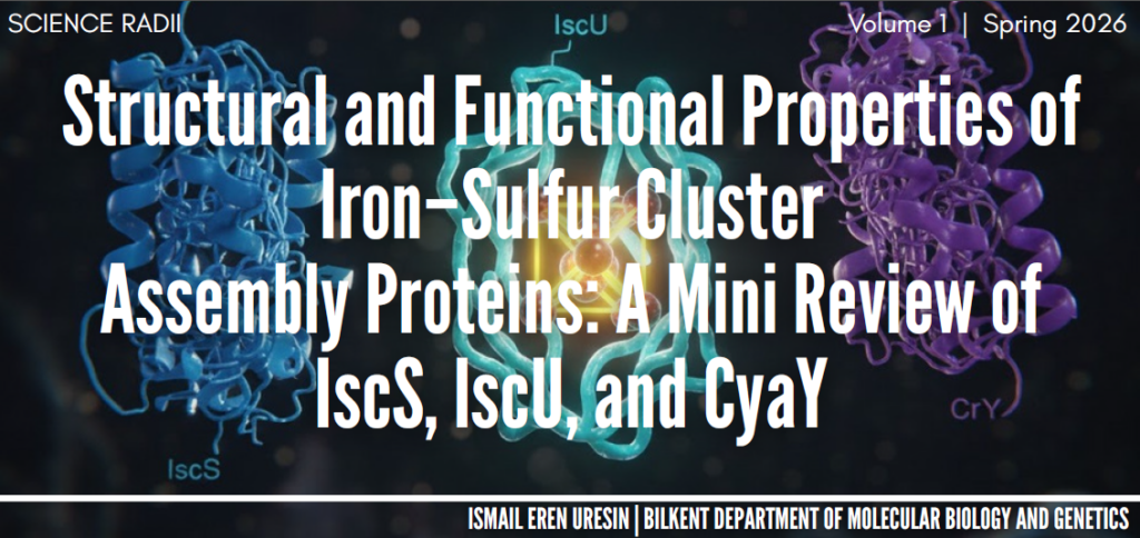 ekran görüntüsü 2026 01 25 143226